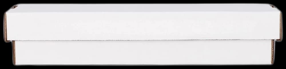 BCW 800 Count Storage Box